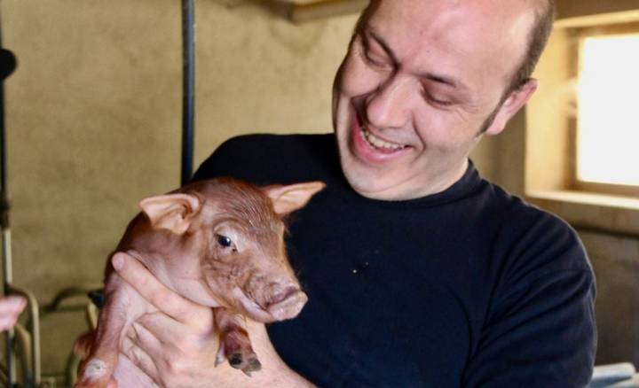 Oriol Rovira con un lechón de su granja.