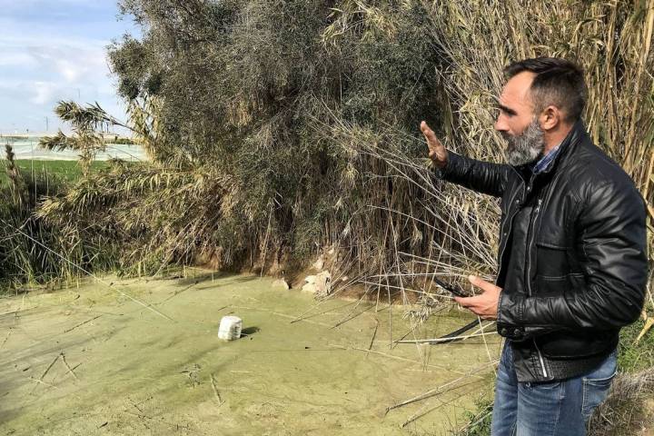 Cultivo desterrado - Sanlucar de Barrameda