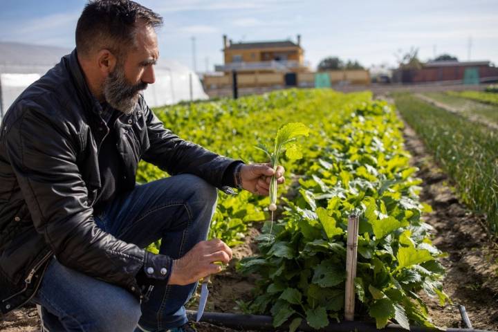 El gaditano ha demostrado que se puede vivir del navazo.