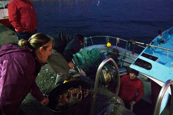 Del barco a la lonja, y de aquí al mercado. Más fresco es imposible.