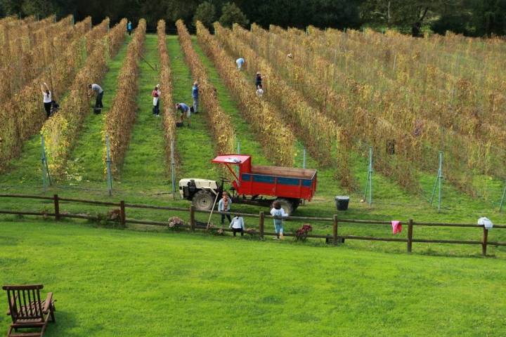 fabes finca el ribeiro asturias