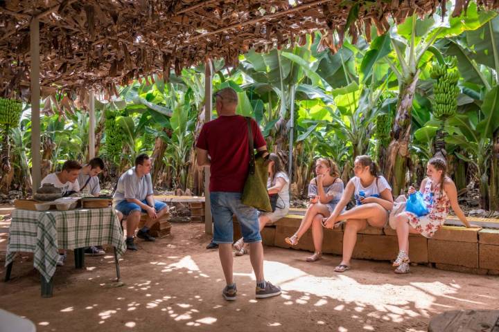 Los visitantes de 'Las Margaritas' paran a descansar tras el paseo.