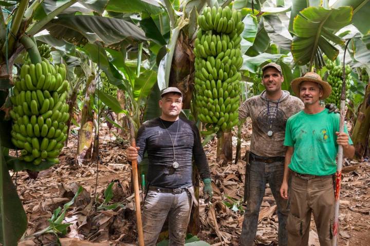 Adolfo junto a su equipo de trabajo.