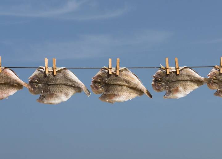 Venta de pescado secado al sol en Isla de Lobos.Tan pintoresco como sabroso. Foto: Shutterstock.