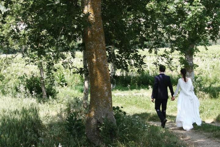 Una pareja de novios entre viñedos.