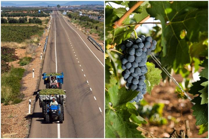 Tierra de Barros es la comarca vinatera extremeña por excelencia.