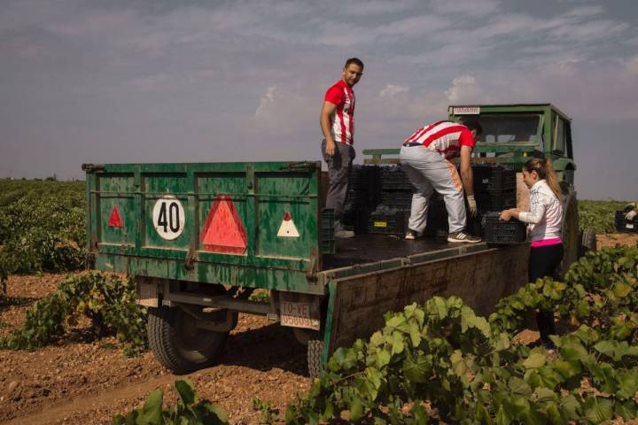 Con suma delicadeza van colocando las banastas sobre el camión.