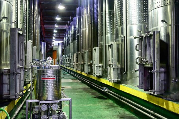 En Bodegas Insulares se puede llegar a almacenar hasta 600.000 kg de uva.