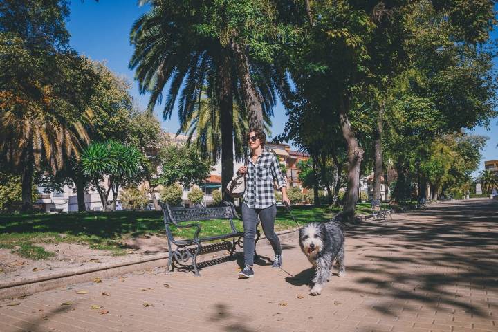 Los juguetes no deben sustituir a las salidas y paseos rutinarios por el parque.