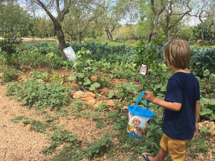 Entender la huerta, la temporada de cada uno de sus productos, un conocimiento vital.