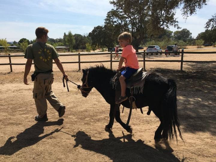 Un paseo en pony por tres euros más.