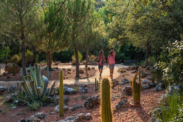 En uno de los rincones del bosque hay una exposición de cáctus por donde pasear. ¡Cuidado que pinchan!