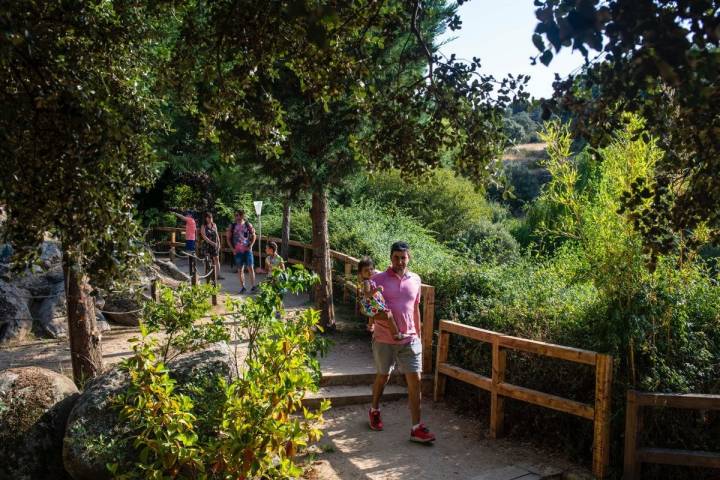 El bosque cuenta con más de 300 esculturas vegetales.