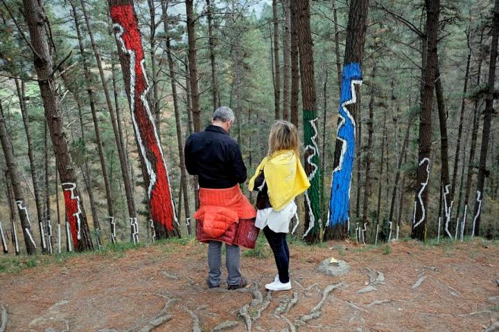 Parejas y grupos de amigos también recorren el bosque durante todo el año.