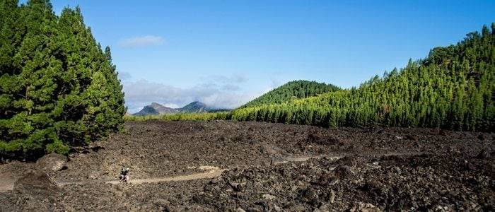 Ruta Chinyero. Foto: Turismo de Tenerife