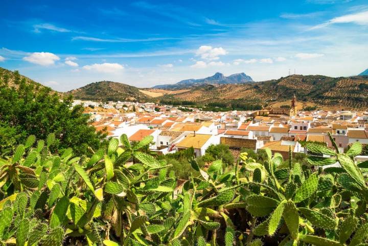 Vista del pueblo de Algodonales. Foto: Shutterstock.