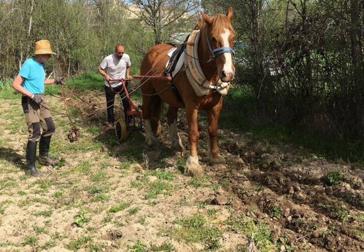 Aprendiendo a arar el campo a la manera tradicional, en 'Outback Spain'. Foto: Outback Spain.