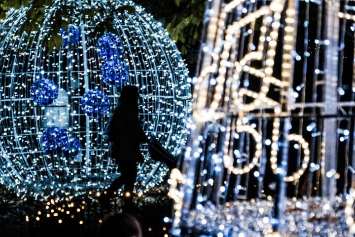 Árboles de Navidad en el alumbrado del Jardín Botánico