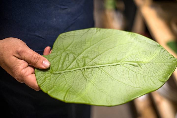 El horno respeta las bellezas de la hoja con una delicadeza asombrosa.