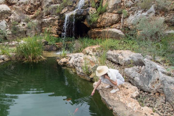 La buena gestión del agua hacen del Jardín de L'Albarda todo un referente, no solo a nivel estético.