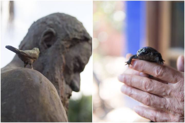 La fauna y el arte comparten protagonismo con la vegetación en este rincón de Pedreguer.