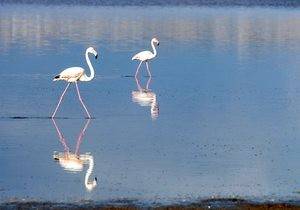 Parque Nacional de Doñana.