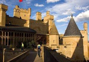 Panorama del Palacio Real de Olite.