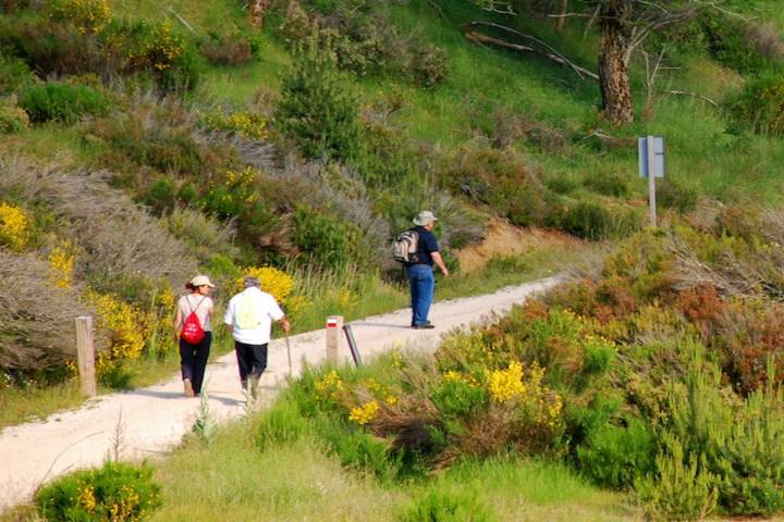 Vía Verde Sierra de la Demanda. Foto: Fundación de los Ferrocarriles Españoles.