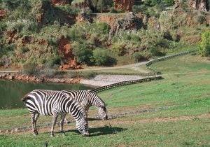 El telecabina del Parque de Cabárceno tendrá un recorrido de 6km.