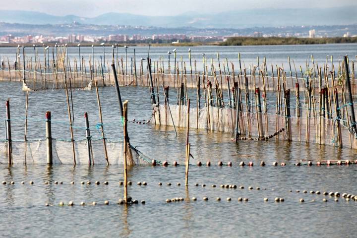 La Albufera, el paisaje del sur valenciano. Foto: Consuelo Xambó.