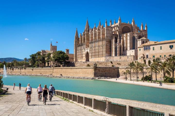 Listas para descubrir la bahía de Palma de Mallorca. Foto: Shutterstock.