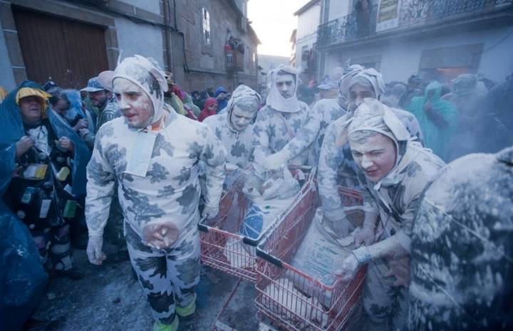 No te esfuerces, ni disfrazado de vaca evitarás acabar de esta guisa. Foto: Nacho Calonge.