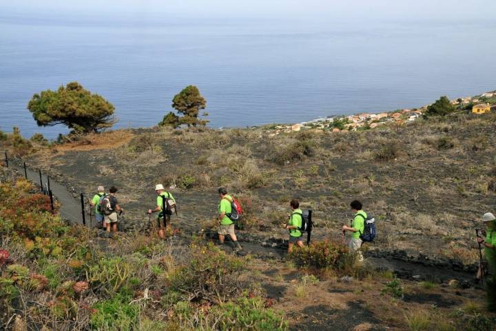 Senderismo La Palma