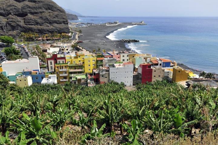 Plantación La Palma