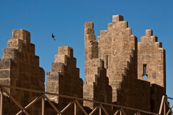 La golondrina debe ser la única que no tiene fácil volver a anidar en Belmonte.