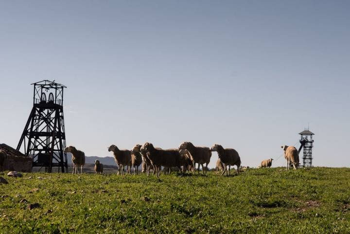 Castilletes mineros en pleno campo.