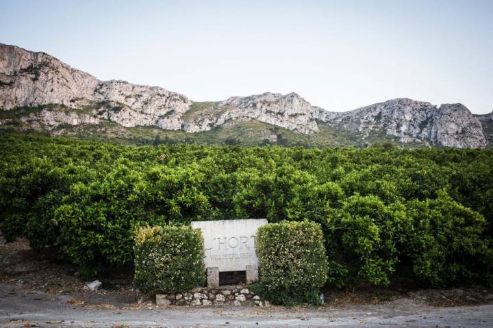 Vall de Gallinera