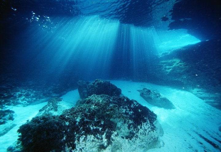 En busca de la posidonia. Foto: Manu San Félix, Facebook Turismo Formentera.