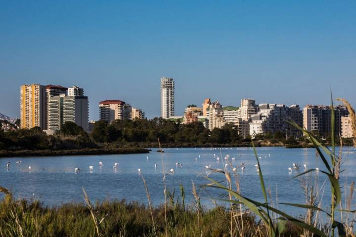 Vista de las Salinas de Calpe, en Alicante.