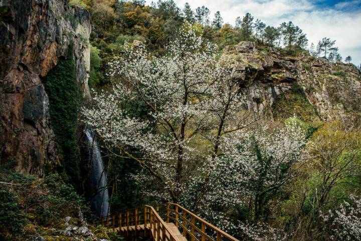 El descenso a la cascada de Aguacaída.