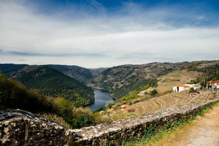 Una de las bodegas situada en las laderas del rio Miño.