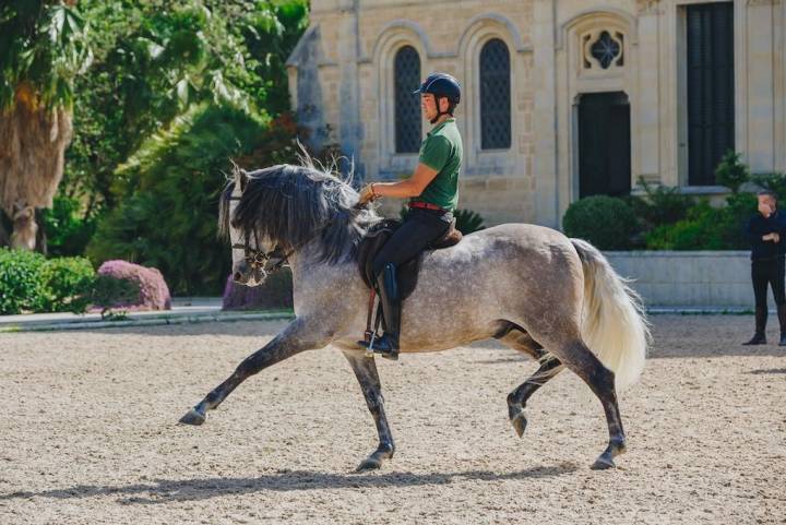 La comunicación entre jinete y caballo es vital.