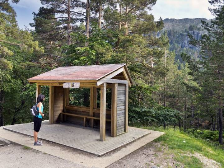 Parada de autobús dentro del Parque Natural, cerca de Vinuesa. Foto: shutterstock.