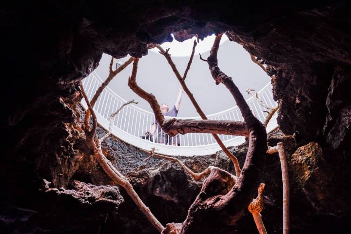 La naturaleza se abre paso por los huecos que dejó la roca volcánica en la que fue su primera casa.