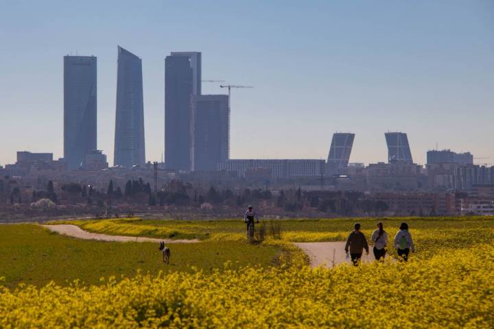 Cerca de Montecarmelo, un Madrid rural se funde con el más moderno.