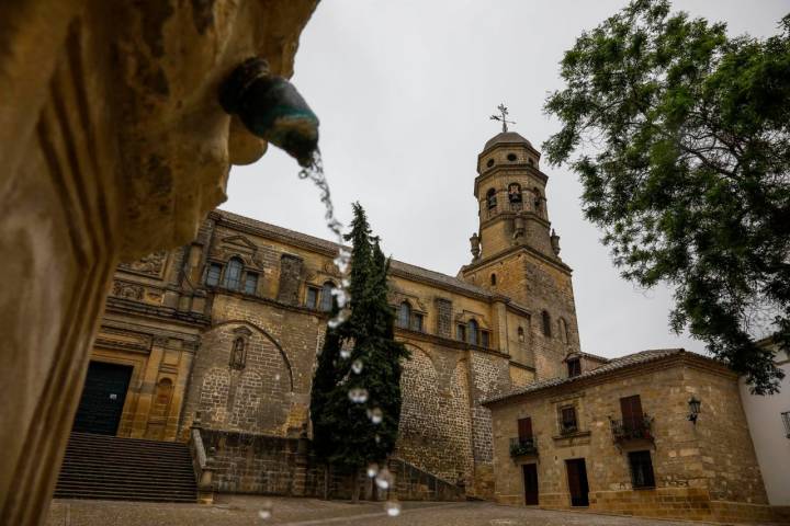 visita baeza patrimonio mundial