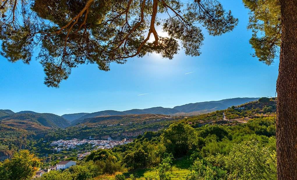 Escapada cítrica por los pueblos blancos de Granada