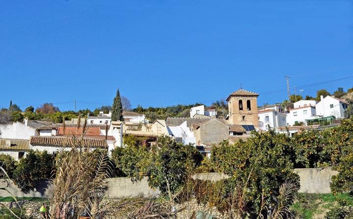 En estos pueblecitos blancos huele a naranjos y a azahar. Foto: shutterstock.