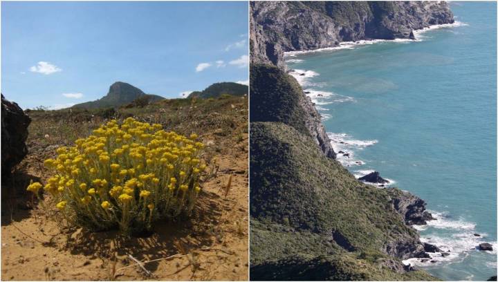 El adn del parque: una particular vegetación sobre suaves colinas que caen al mar.