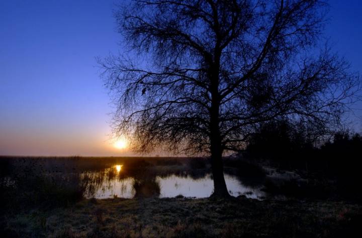 Parque Nacional Doñana: Amanecer en la marisma